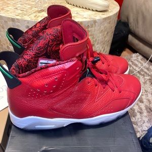 Jordan 6 Spizike